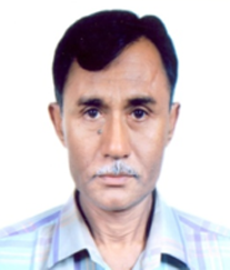 photos
